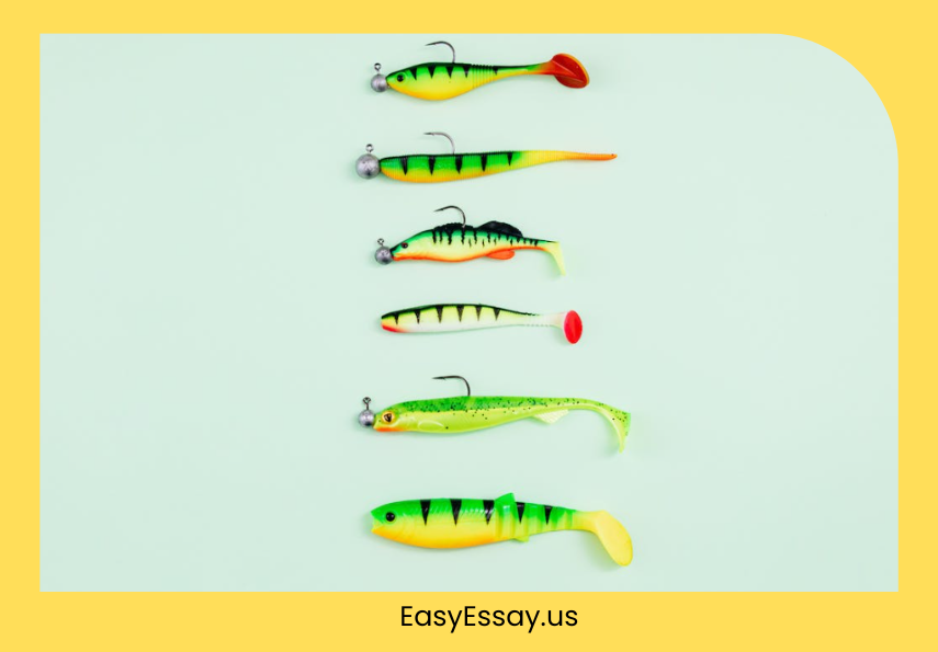 How to Write a Catchy Hook for an Essay: 5 Types of Essay Hooks